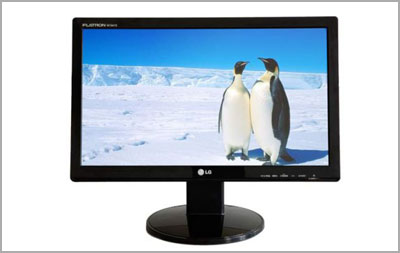 Monitor Lcd Lg 19" Wide